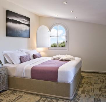Vineyard Suite
