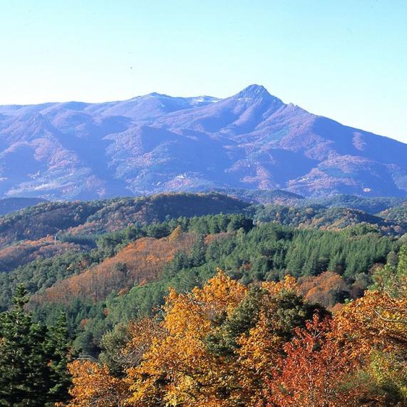 L`Albera Mountain Range