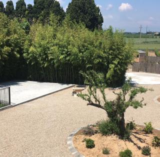 BOUTIQUE HOTEL CAN PICO