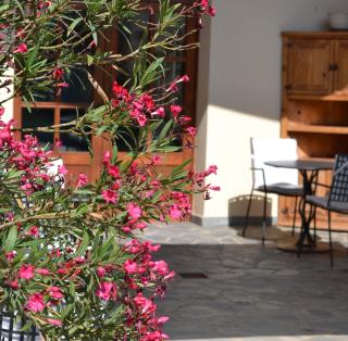 BOUTIQUE HOTEL CAN PICO