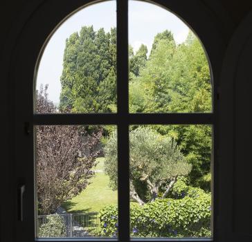 Vineyard Suite